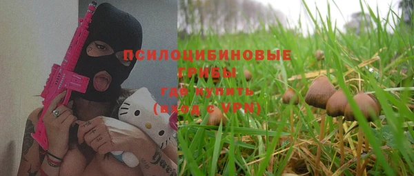 прущая мука Алзамай