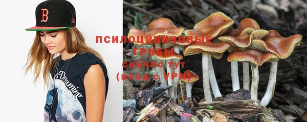 прущая мука Алзамай