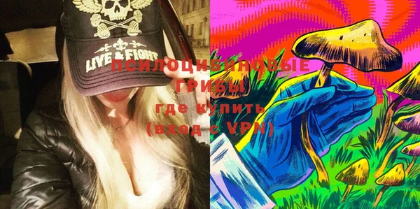 прущая мука Алзамай